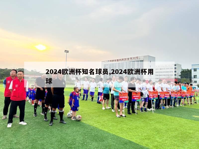 2024欧洲杯知名球员,2024欧洲杯用球