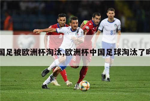 国足被欧洲杯淘汰,欧洲杯中国足球淘汰了吗