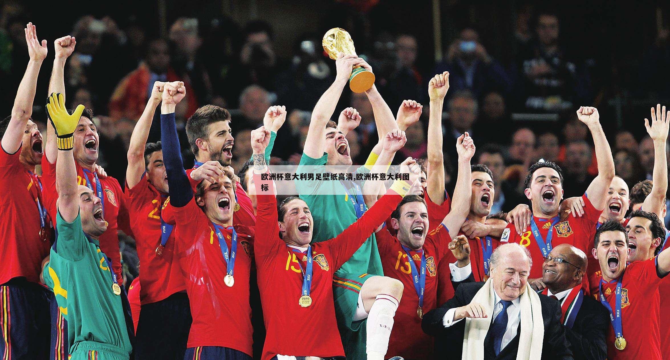 欧洲杯意大利男足壁纸高清,欧洲杯意大利图标