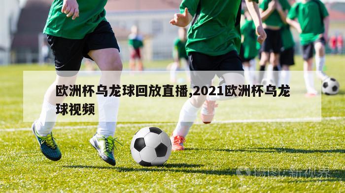 欧洲杯乌龙球回放直播,2021欧洲杯乌龙球视频