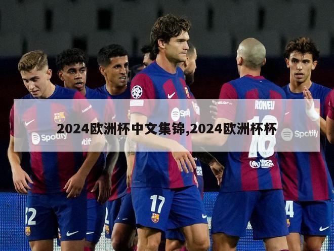 2024欧洲杯中文集锦,2024欧洲杯杯