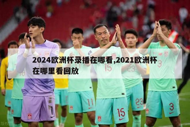 2024欧洲杯录播在哪看,2021欧洲杯在哪里看回放