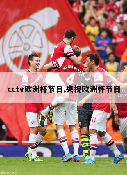 cctv欧洲杯节目,央视欧洲杯节目