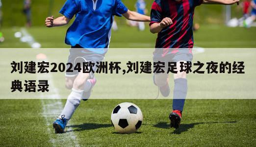 刘建宏2024欧洲杯,刘建宏足球之夜的经典语录