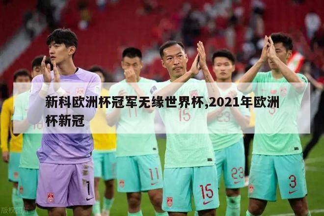 新科欧洲杯冠军无缘世界杯,2021年欧洲杯新冠