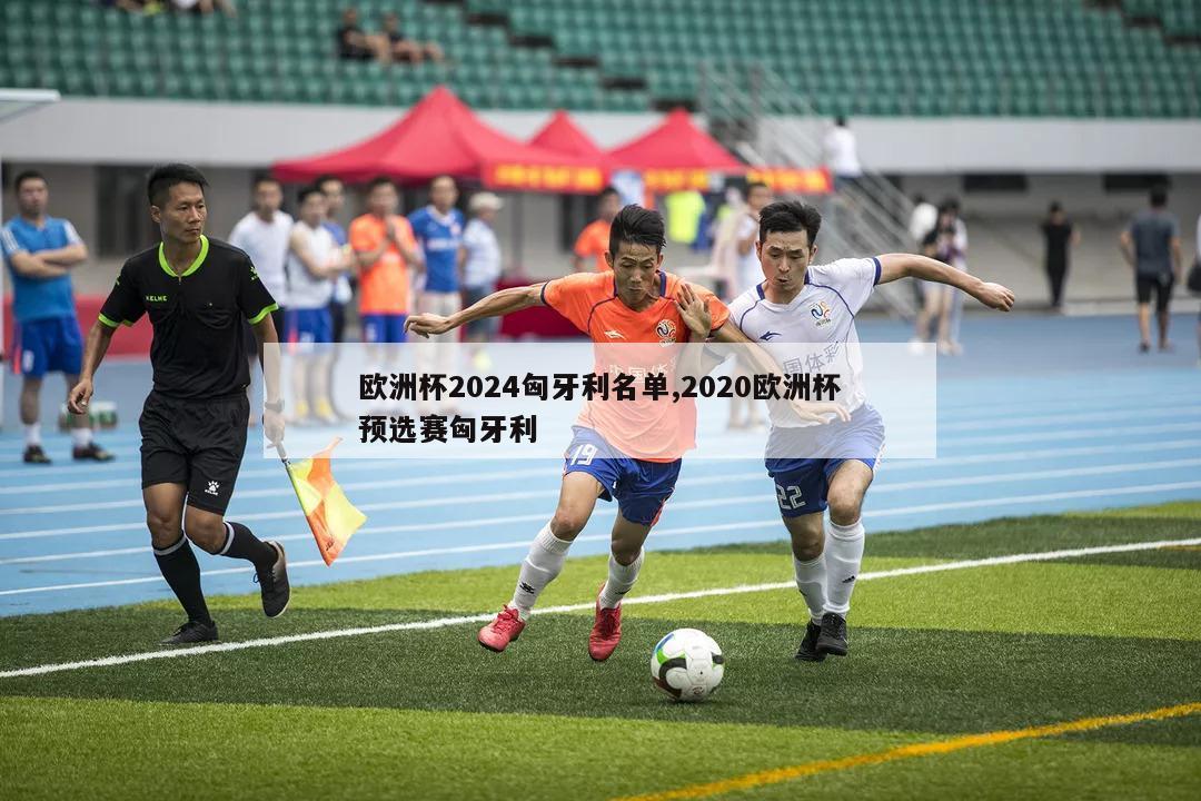 欧洲杯2024匈牙利名单,2020欧洲杯预选赛匈牙利