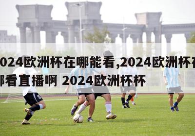 2024欧洲杯在哪能看,2024欧洲杯在哪看直播啊 2024欧洲杯杯