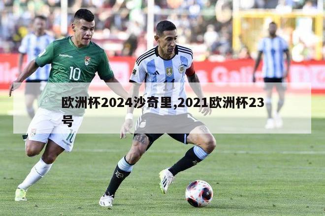 欧洲杯2024沙奇里,2021欧洲杯23号