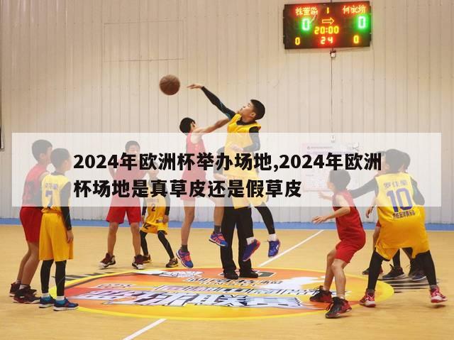 2024年欧洲杯举办场地,2024年欧洲杯场地是真草皮还是假草皮